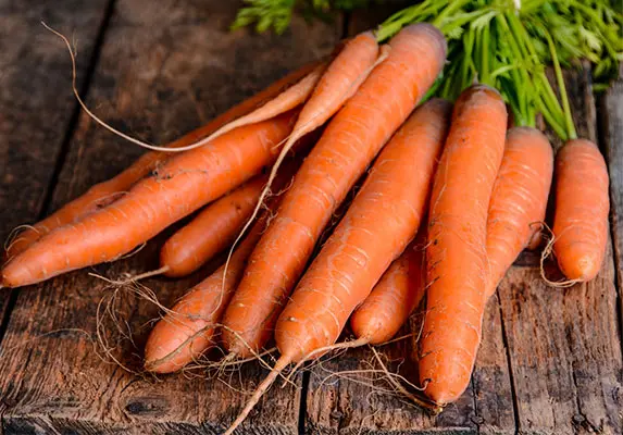Organisches Karotten pulver