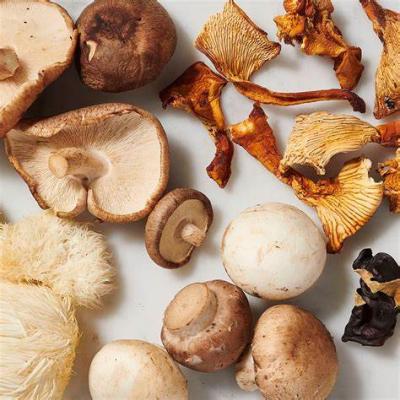Neue Studie zeigt, dass Pilze so wirksam sind wie Vitamin D-Nahrungs ergänzungs mittel