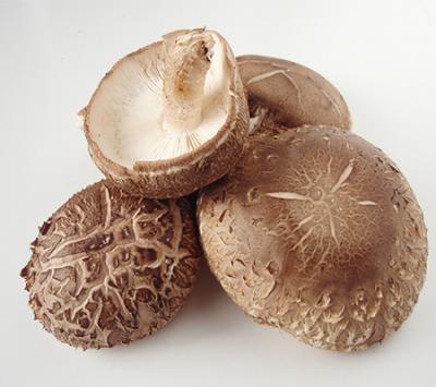 Antivirale Wirkung von Shiitake-Pilz-Extrakt