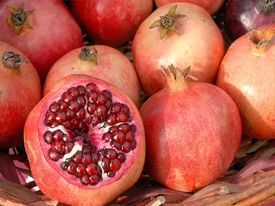 Was ist die Wirkung von Granatapfel extrakt?