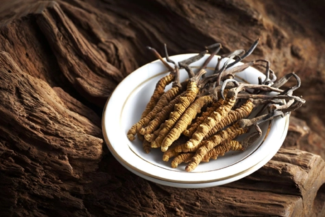 Steigerung von Energie und Ausdauer: Wie Cordy ceps Sinensis Extract helfen kann